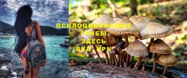 винт Козловка