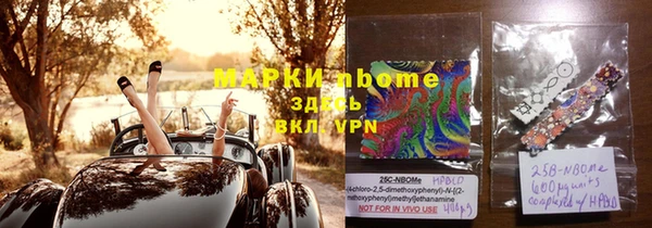 бошки Новодвинск