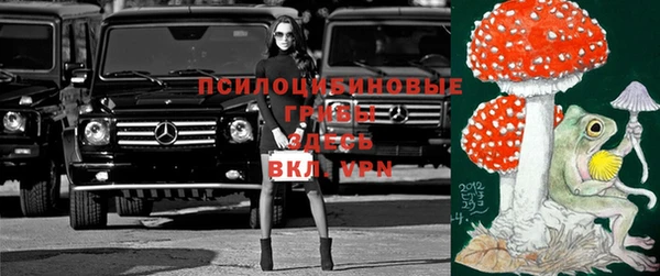 винт Козловка