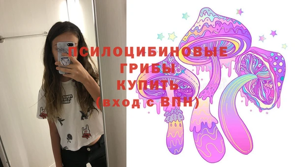винт Козловка