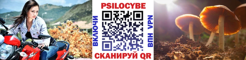 Псилоцибиновые грибы Psilocybine cubensis  Духовщина 