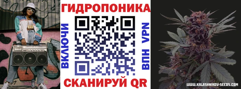 где найти наркотики  Духовщина  Канабис индика 